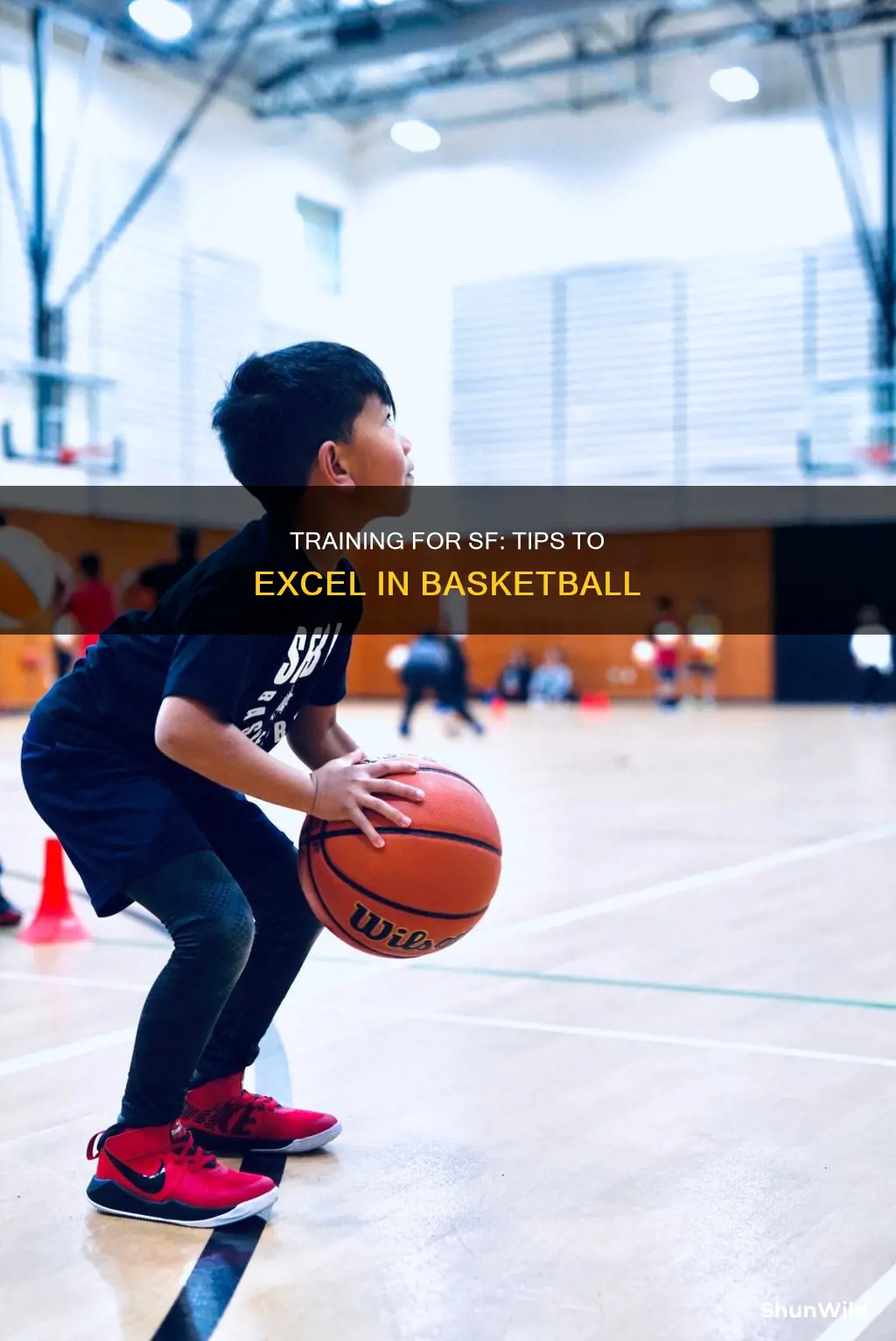 how to train as a sf basketball