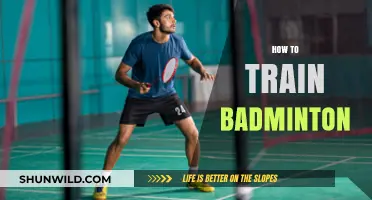 Badminton Training: Techniques to Master the Game