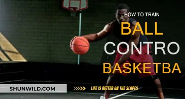 Mastering Ball Control in Basketball