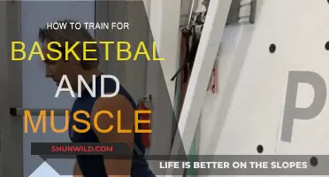 Training for Basketball: Building Muscle for Court Success