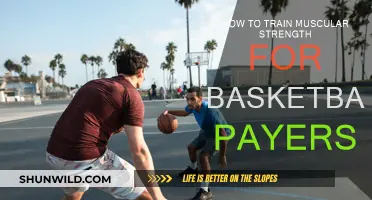 Basketball Strength Training: Building Power for Court Performance