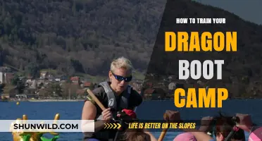 Master Dragon Training: Ultimate Boot Camp Guide for Aspiring Riders