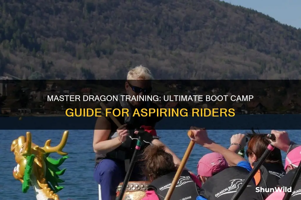 how to train your dragon boot camp