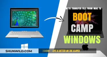 Seamless File Transfer: Mac to Boot Camp Windows Made Easy