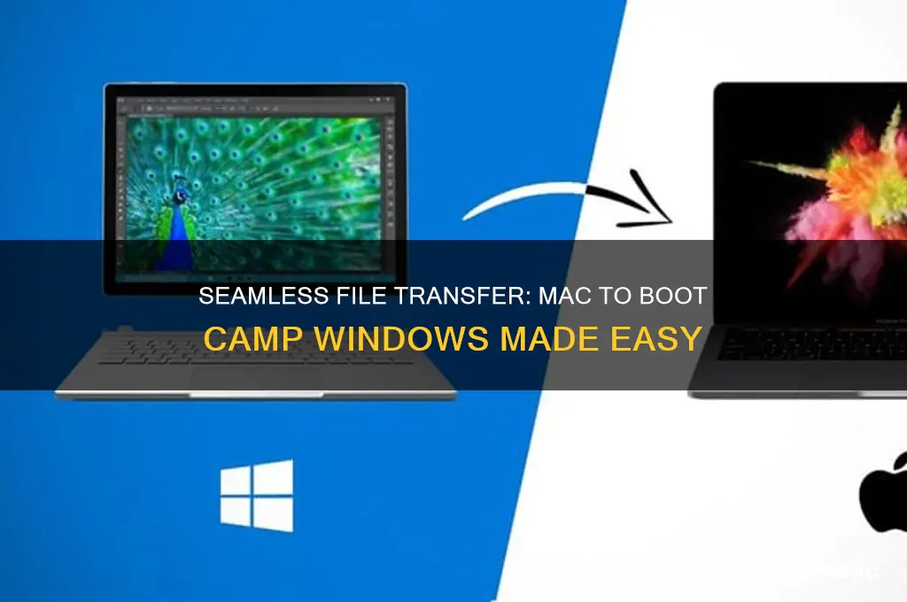 how to transfer file from mac to boot camp windows