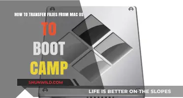 Transferring Files from macOS to Boot Camp: A Step-by-Step Guide