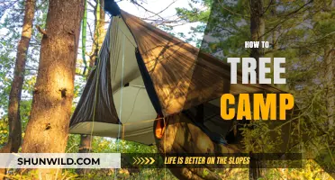 Master Tree Camping: Essential Tips for Elevated Outdoor Adventures