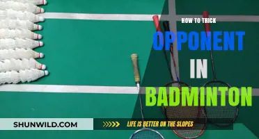 Deceptive Badminton: Tricking Your Opponent