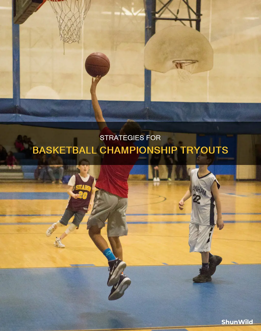 how to try out for a basketball championship