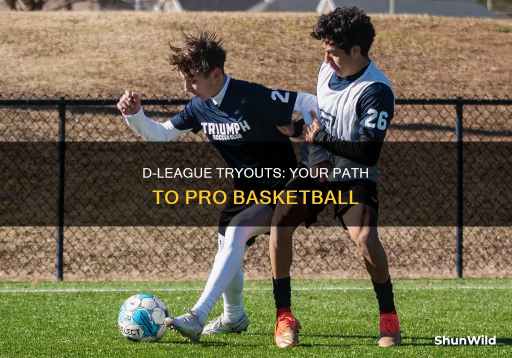 how to tryout for d league basketball