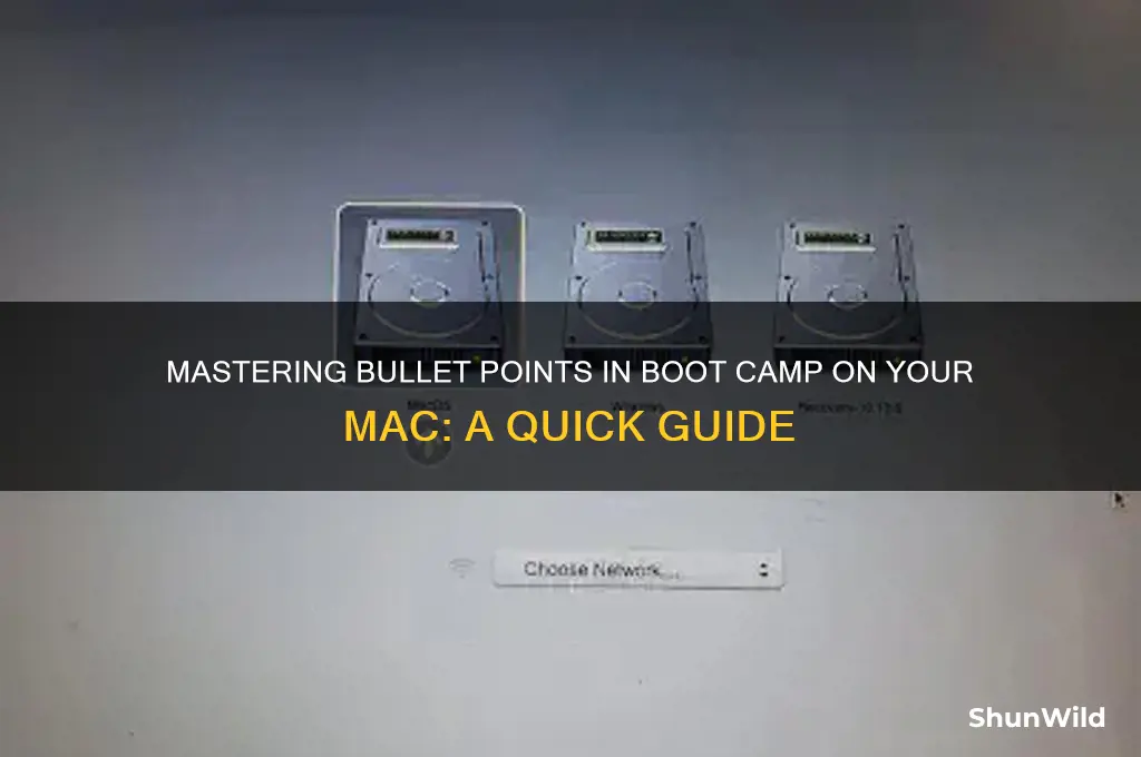 how to type bullet point mac boot camp