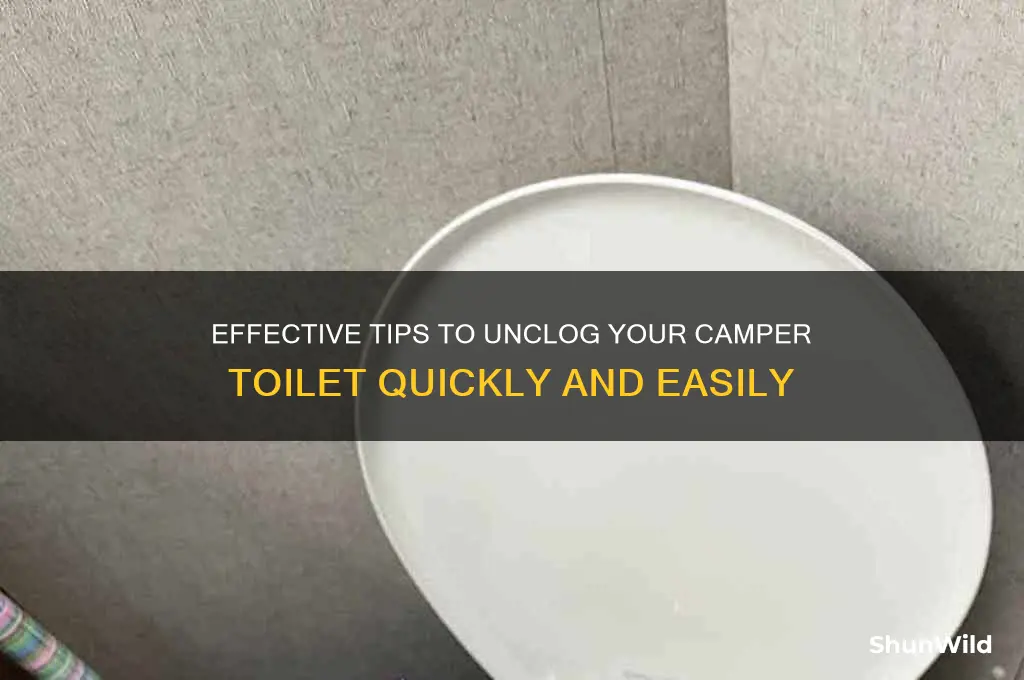 how to unclog camper toilet