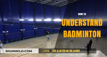 Understanding Badminton: A Beginner's Guide to the Sport