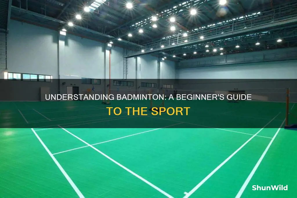how to understand badminton