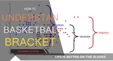 Understanding Basketball Brackets: A Beginner's Guide
