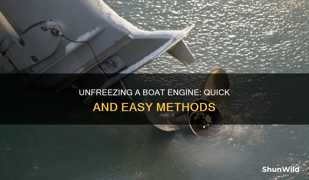 how to unfreez a boat engine