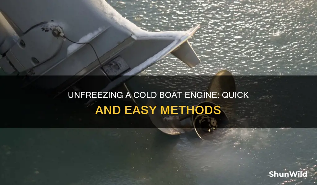 how to unfreeze a cold a boat engine