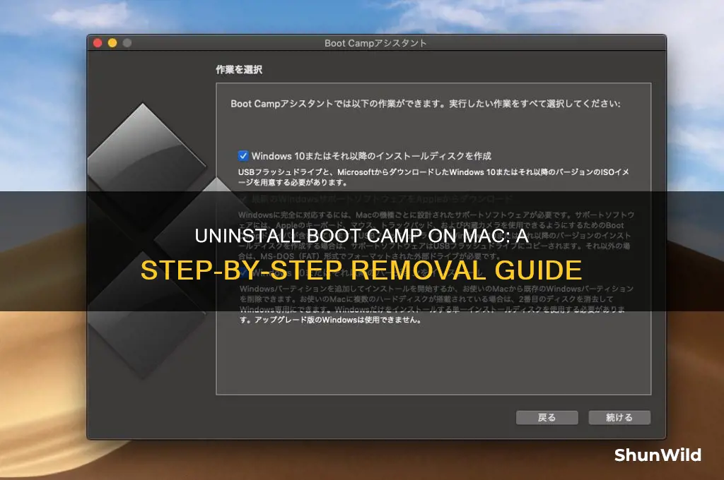 how to uninstall boot camp on mac