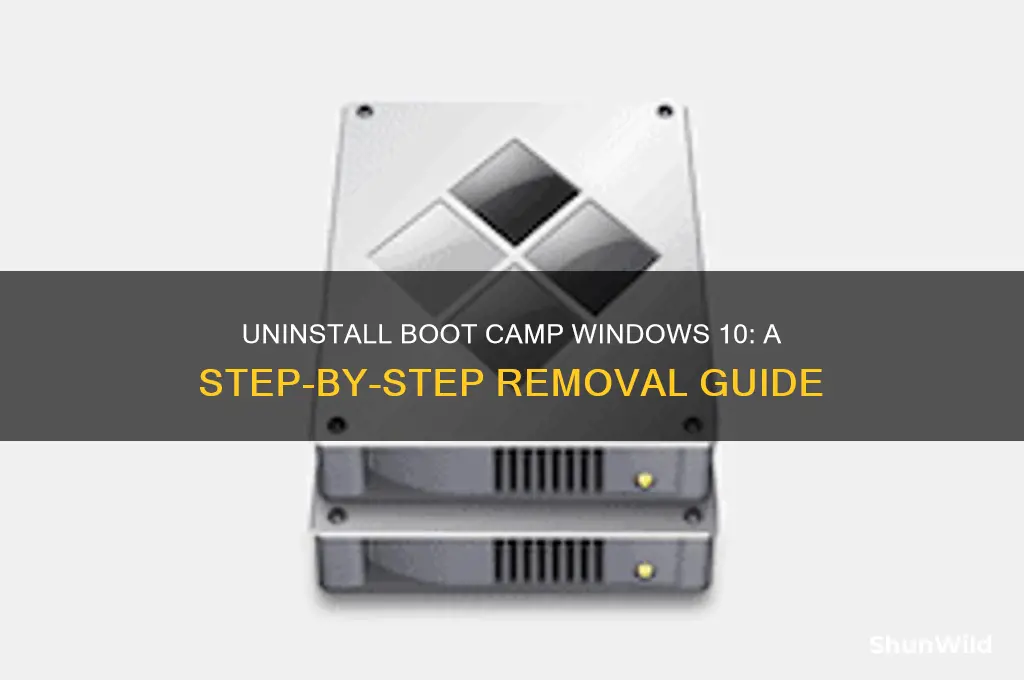 how to uninstall boot camp windows 10