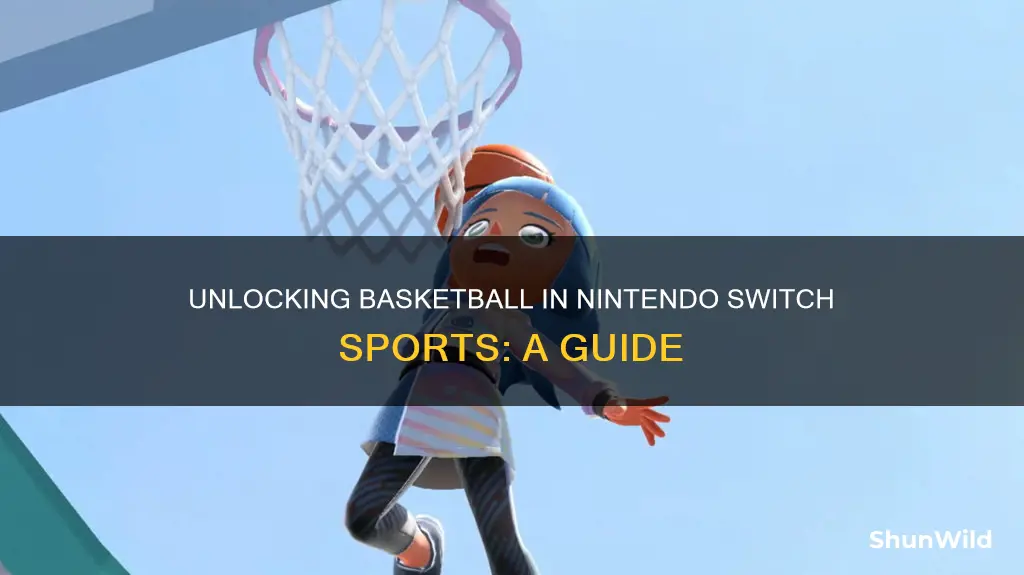 how to unlock basketball in switch sports