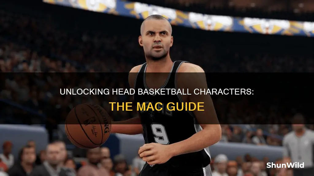 how to unlock every character in head basketball on mac