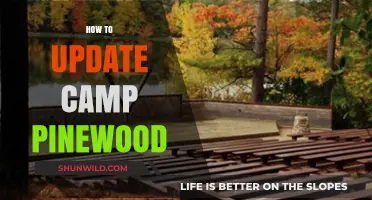 Revitalize Camp Pinewood: Essential Steps for a Modern Update