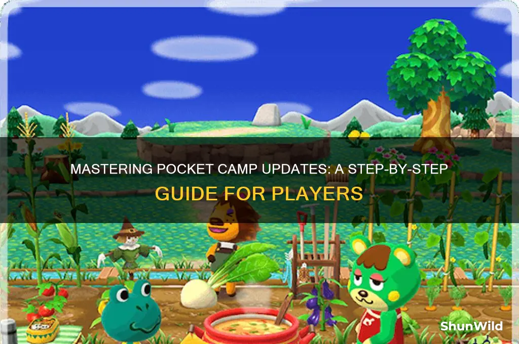 how to update pocket camp