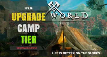 Mastering Camp Tier Upgrades: Strategies to Elevate Your Camp from 8 to 10