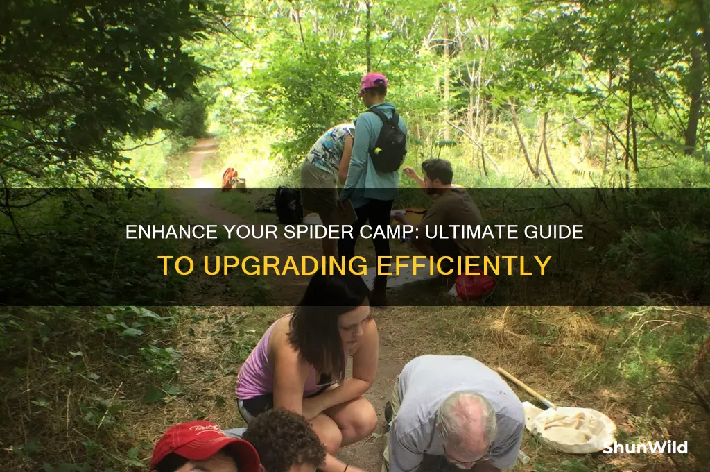how to upgrade spider camps