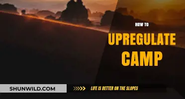 Boosting cAMP Levels: Effective Strategies for Upregulating cAMP Naturally