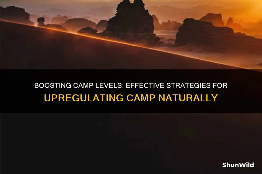 how to upregulate camp