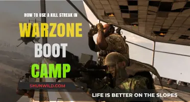 Mastering Kill Streaks: Warzone Boot Camp Strategies for Dominance