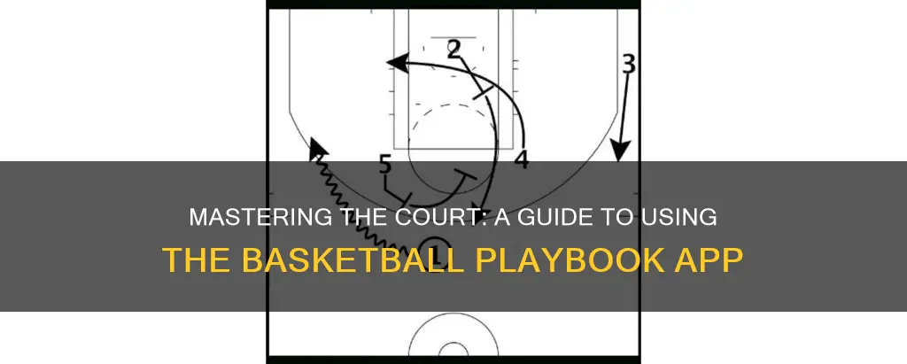 how to use basketball playbook app