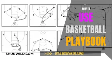 Mastering the Basketball Playbook: Strategies for Success