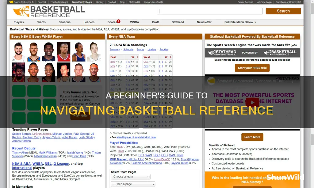 how to use basketball reference