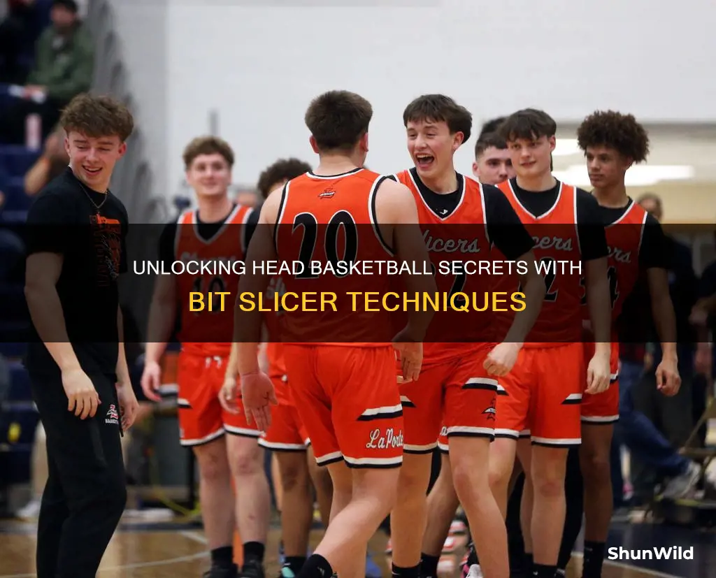 how to use bit slicer for head basketball