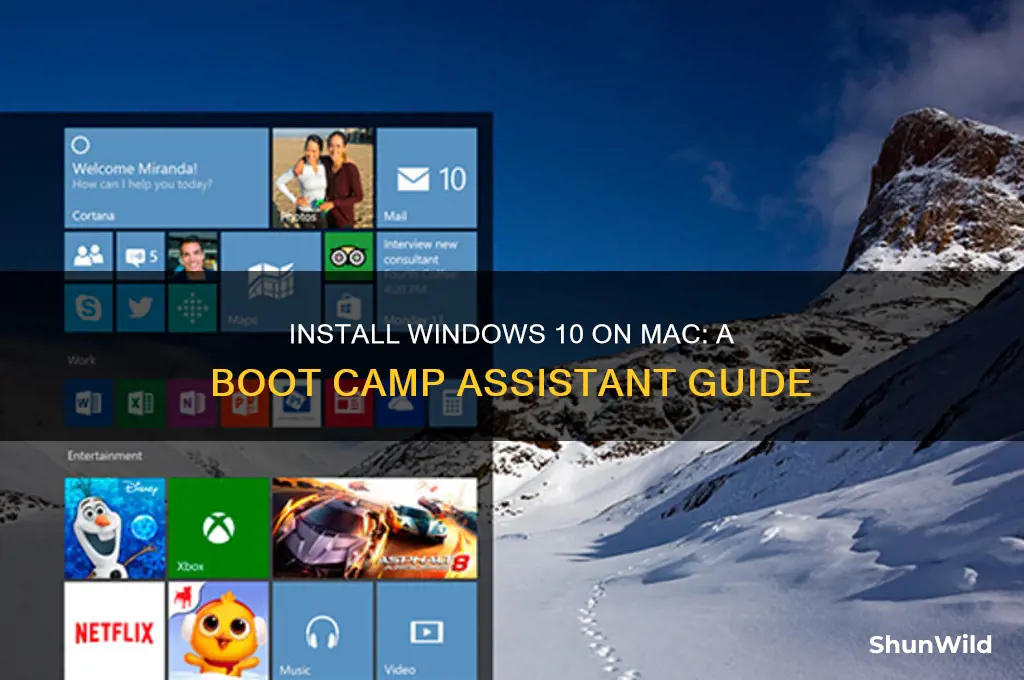 how to use boot camp assistant to install windows 10