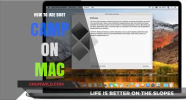 Mastering Boot Camp: A Step-by-Step Guide for Mac Users