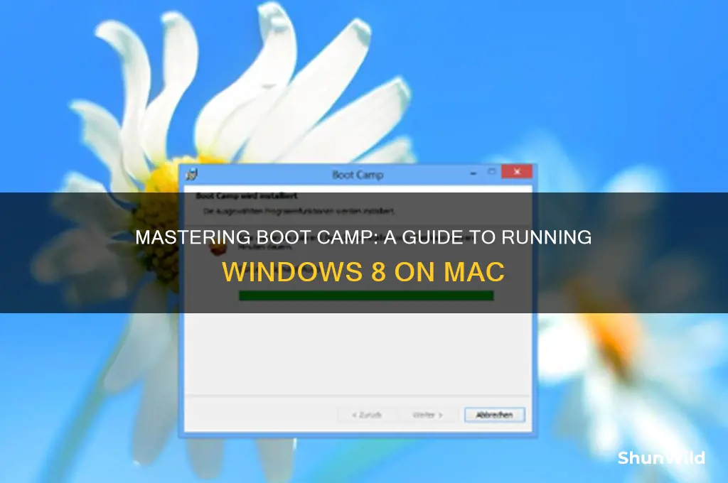 how to use boot camp windows 8