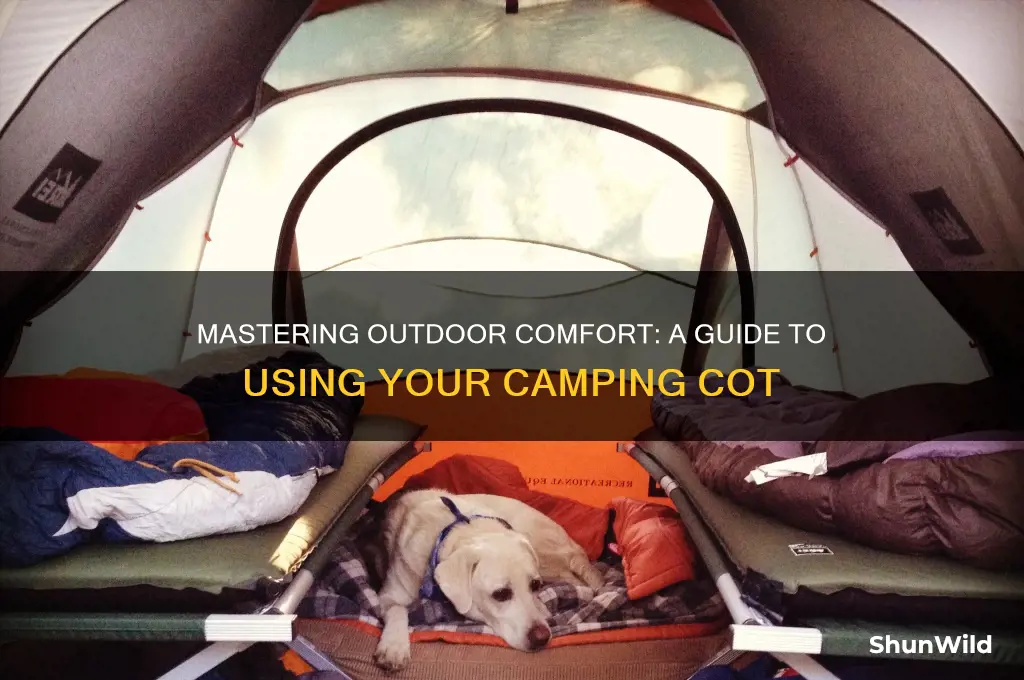how to use camping cot