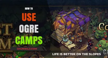 Mastering Ogre Camps: Strategies for Efficient Resource Farming in Gaming