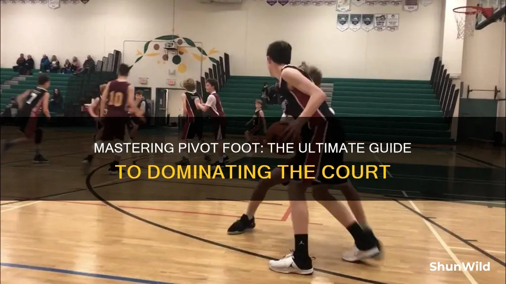 how to use pivot foot in basketball