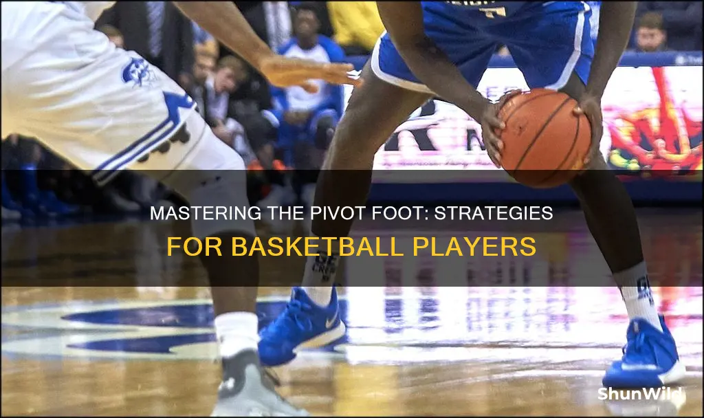 how to use pivot foot in basketball