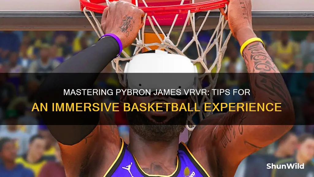 how to use pybron james basketball vrvr