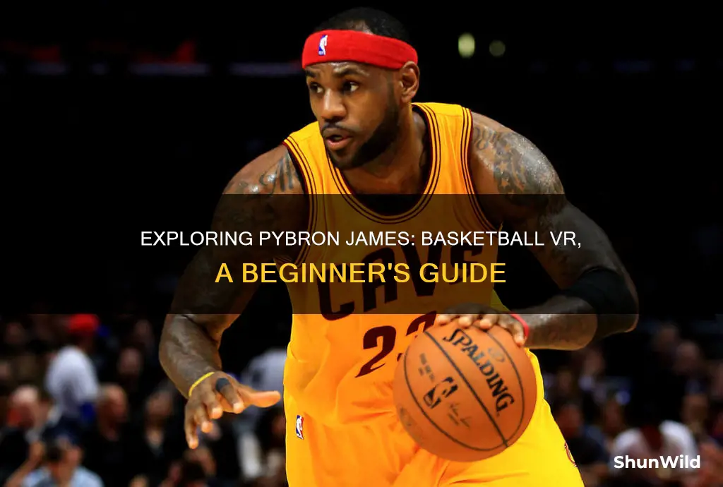 how to use pybron james basketball vrvr