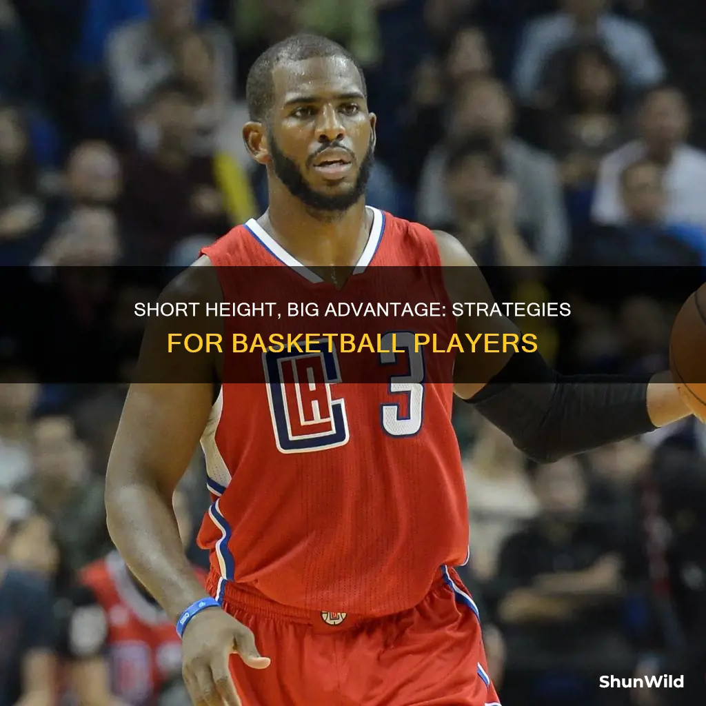how to use short height in basketball