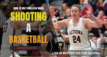 Legs in Basketball: Mastering the Art of Lower-Body Power