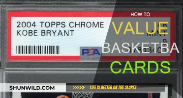 Valuable Basketball Cards: A Guide to Grading and Pricing