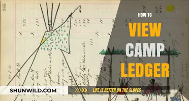 How to Easily Access and View Your Camp Ledger Online