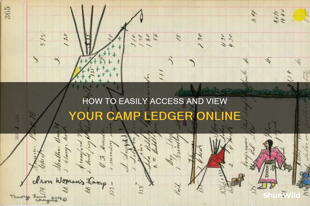 how to view camp ledger